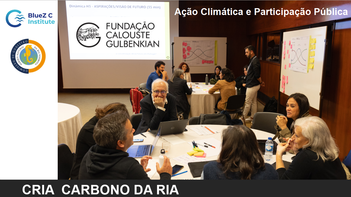 salinas_samouco3
